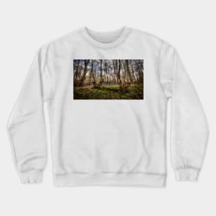 Bluebell Wood Crewneck Sweatshirt